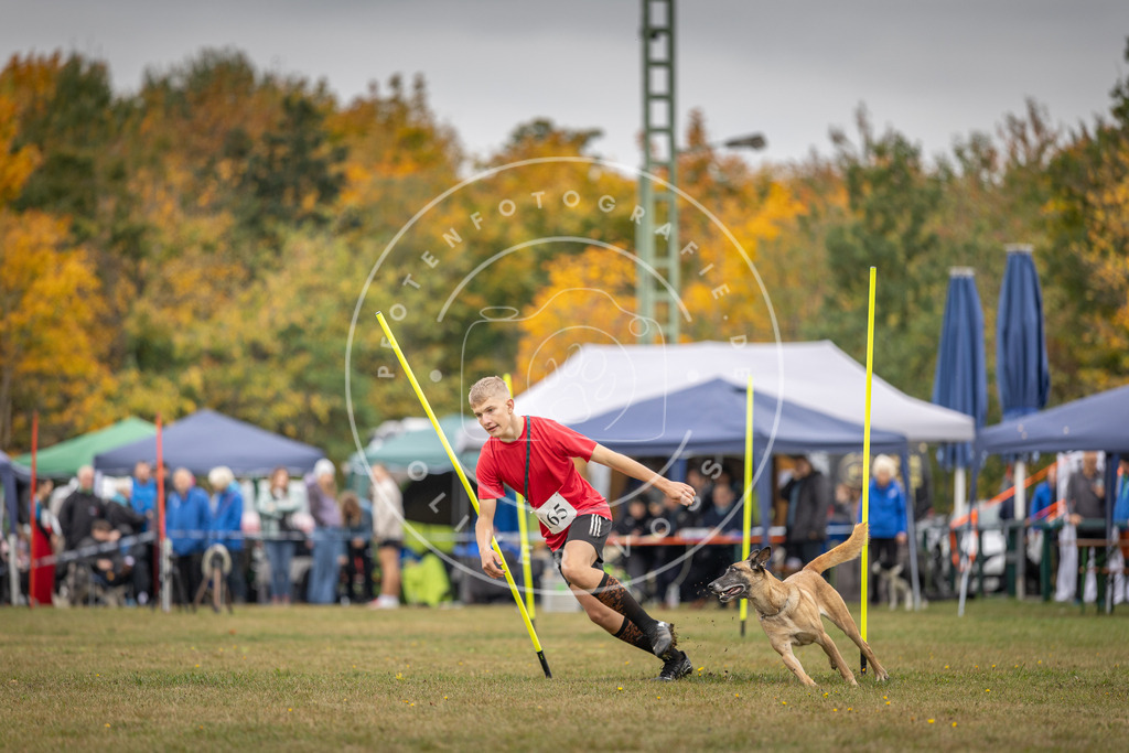 Pfotenfotografie_DV3A5266 | Hundefotografie, Tierfotograf, Pfotenfotografie, Fotoshooting Hund, Hunde Portrait, Hundesport, Hundeportraits, Heideshooting, Hunde, Sportfotograf, Hundefotograf, Turnierhundsport, THS,  - Realisiert mit Pictrs.com