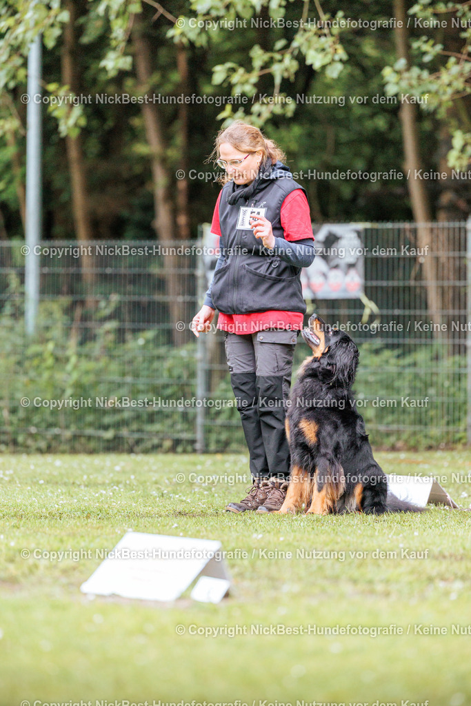 RO-Blumenthal-2026-Nickbest-Hundefotografie-0994 | Dein Hund! Dein Moment! Deine Erinnerungen! Hundefotografie in Bremen Blumenthal. Ich fange die besonderen Momente deines Vierbeiners ein – ob Indoor mit Blitzanlage oder in der freien Natur. Sicher dir dein Moment und dein Termin für eure Erinnerungen.