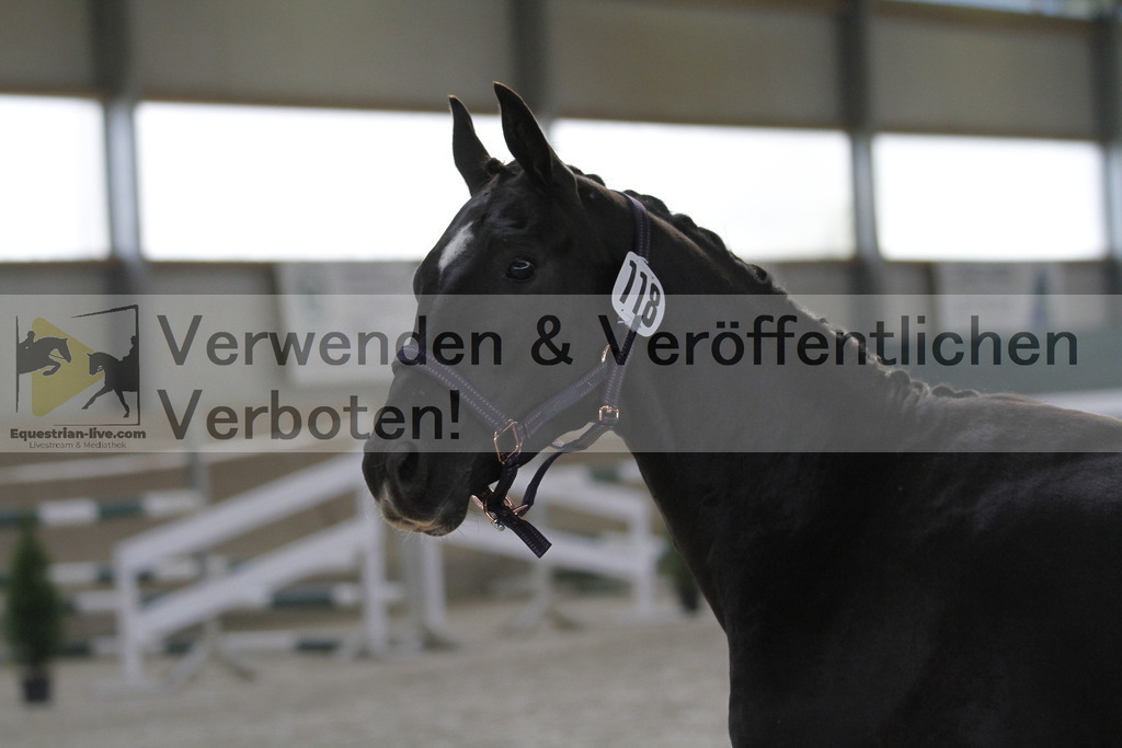_MG_9322 | equestrian-live-com