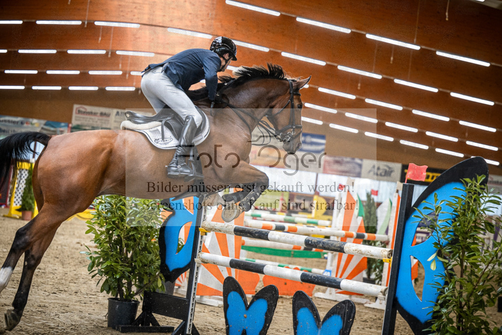 DOS_3445 | Entdecke hochwertige Reitturnierfotos von Foto Oger. Professionell, emotional und authentisch – jetzt Lieblingsmomente im Shop bestellen.Deutschlandweite Turnierfotografie. - Realisiert mit Pictrs.com