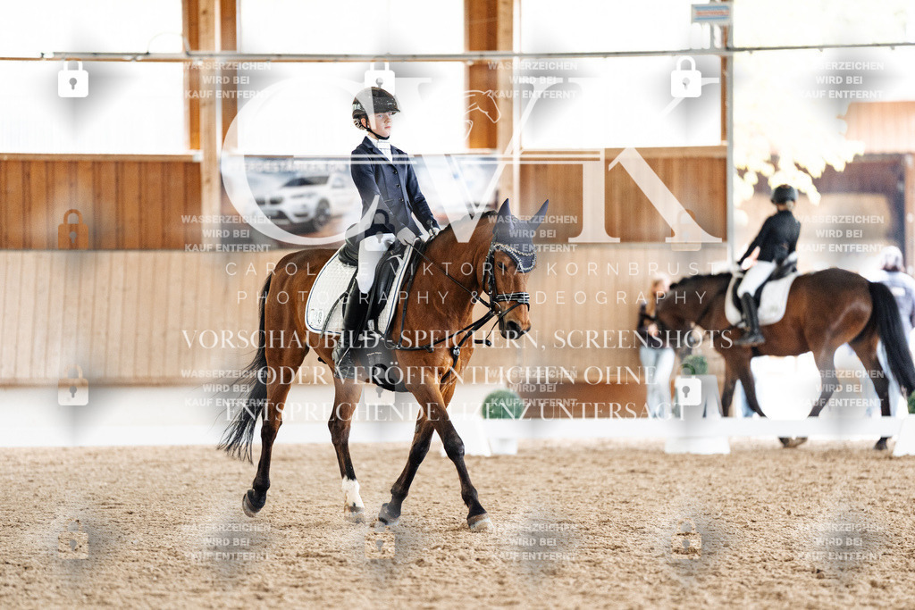 CK901501 | Turnierfotografie Pferdefotografie Trier Rheinland-Pfalz Pferdesport Reitsport Tierfotografie Sportfotografie Pferdevideo Pferdevideografie Equestrianvideography equestrianphotography  - Realisiert mit Pictrs.com