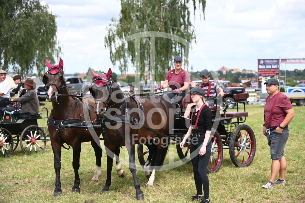 DSC_6865 | sattelsport - Realisiert mit Pictrs.com