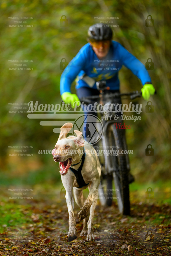 MompixPhotography_20TSB_E1_Bike-14 | PayLife