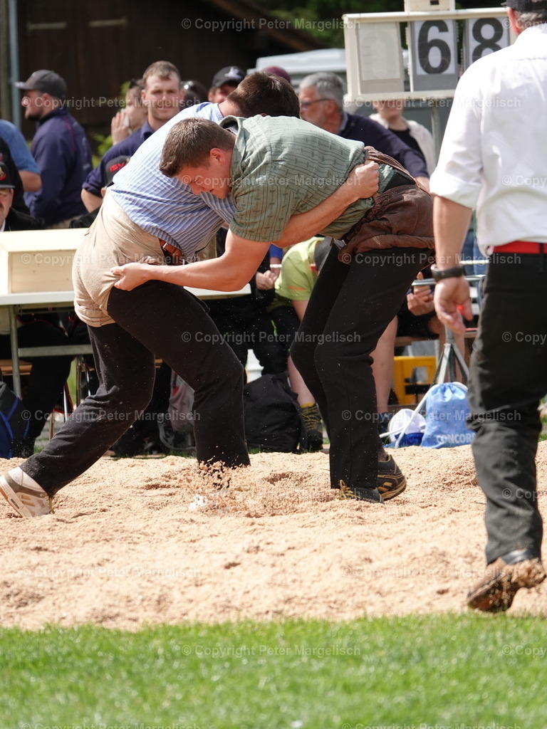 DSC07169 | Schwingen - Realisiert mit Pictrs.com