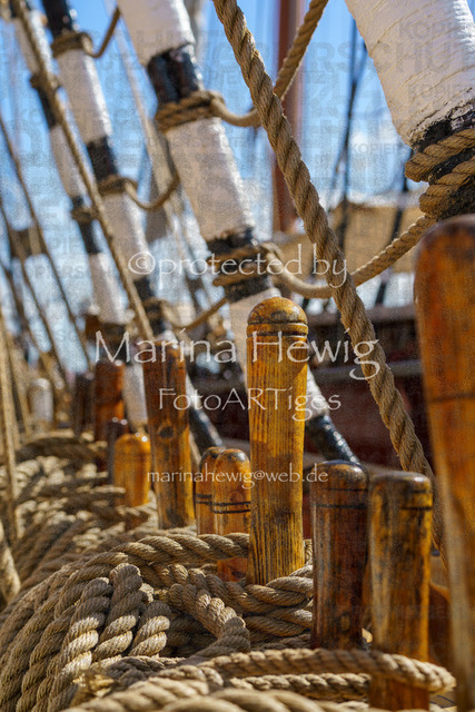Windjammer24_MarinaHewig-4593 | Fotografie, FotoArt, PferdesportArt, Pferdesportfotografie, Landschaftsfotografie, Reisefotografie, Reise, Pferde - Realisiert mit Pictrs.com