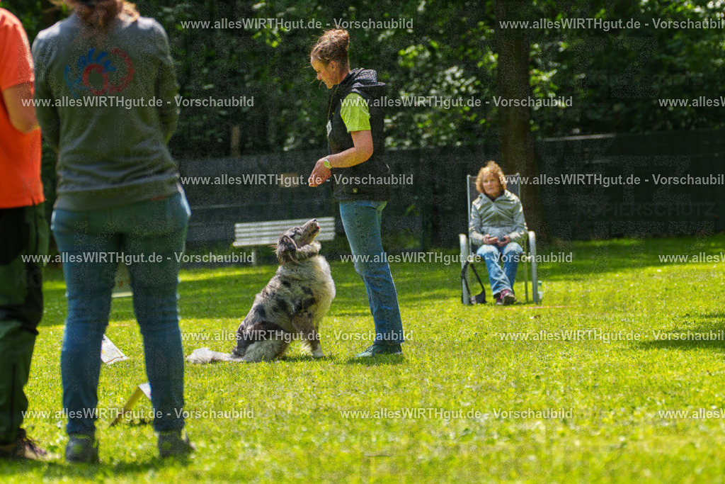 @allesWIRTHgut_Tierfotografie - www.allesWIRTHgut.de - 7R504825 | Professionelle Tierfotografie in Mönchengladbach von Daniel Wirth (allesWIRTHgut). Liebevolle & natürliche Bilder von Hunden & Katzen für unvergessliche Erinnerungen.