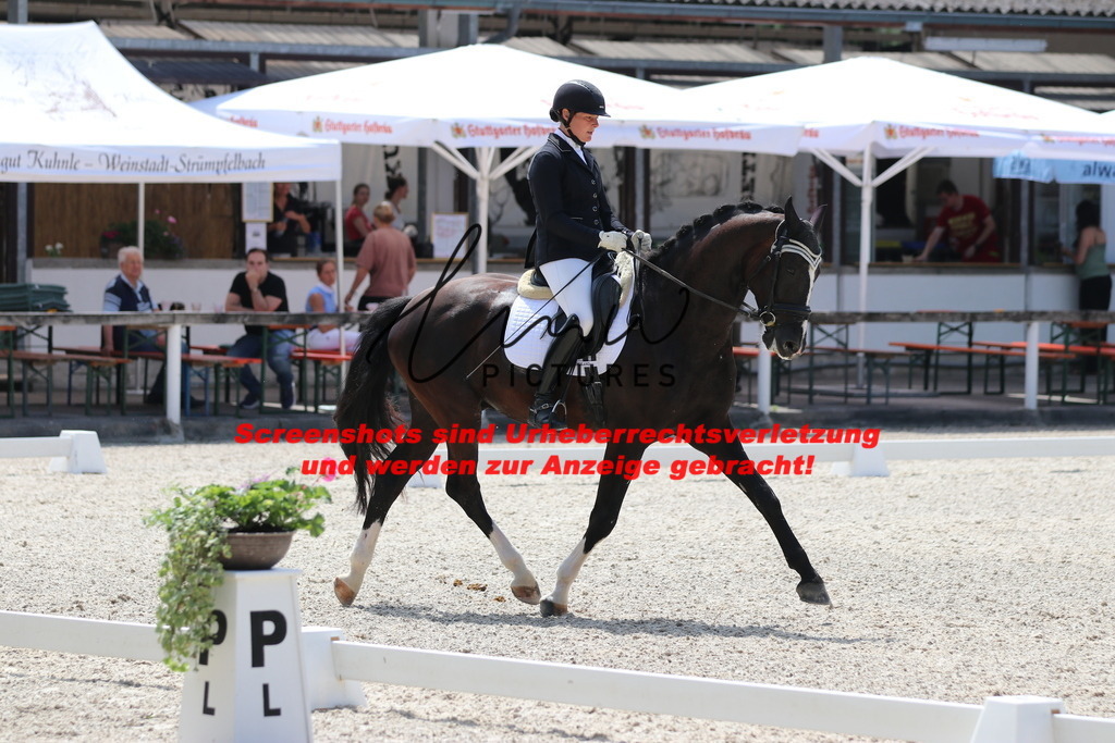 IMG_4682 | lmwpictures - Realisiert mit Pictrs.com