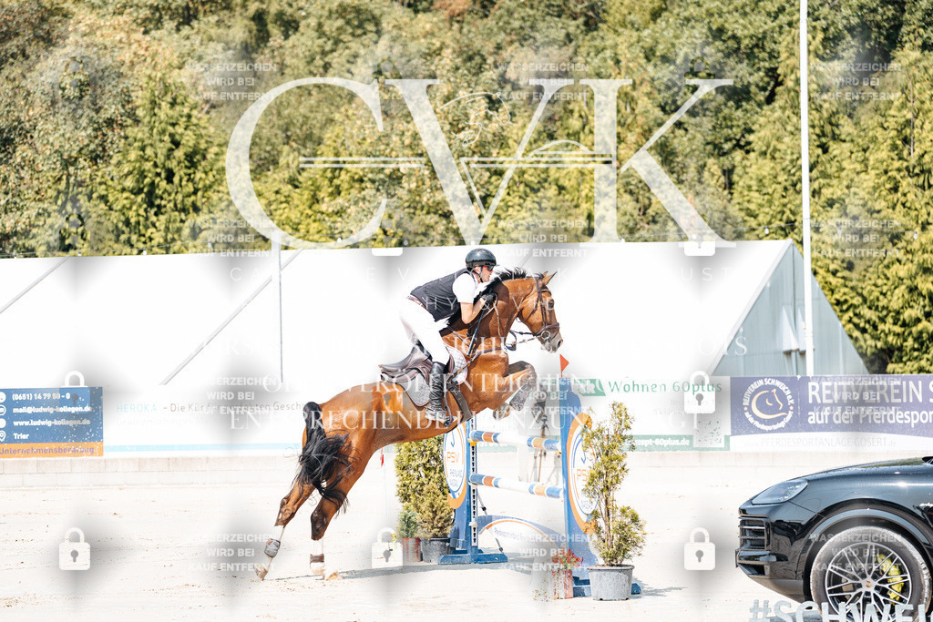 CK901201 | Turnierfotografie Pferdefotografie Trier Rheinland-Pfalz Pferdesport Reitsport Tierfotografie Sportfotografie Pferdevideo Pferdevideografie Equestrianvideography equestrianphotography  - Realisiert mit Pictrs.com
