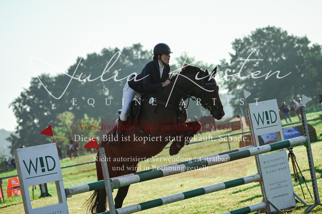 DSC_3983 | Pferde- und Turnierfotografie in Westsachsen. Pferdeportraits, Auftragszeichnungen und intuitive Kunst.
