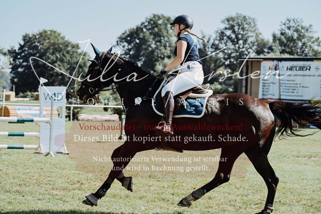 DSC_5988 | Pferde- und Turnierfotografie in Westsachsen. Pferdeportraits, Auftragszeichnungen und intuitive Kunst.