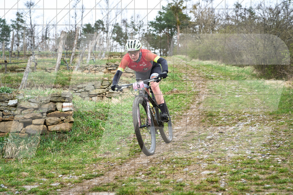34. KTM Kamptal Trophy  | ZÖBING, Österreich – 2026-03-29: 34. KTM Kamptal TrophyFoto: © 2026 Martin Bihounek - MB Creative e.U.