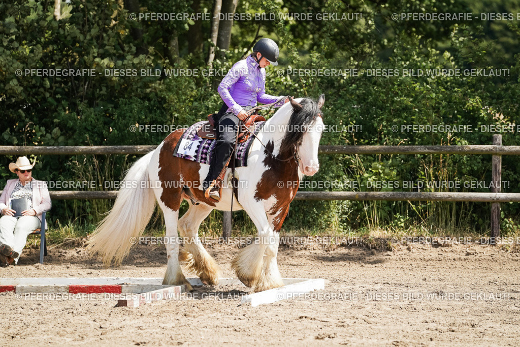 DSC07521 | Pferdegrafie