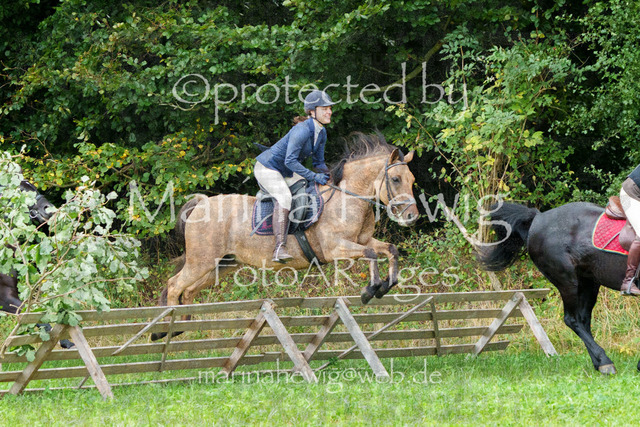 Jagd Perdoel_MarinaHewigMCH04487 | Fotografie, FotoArt, PferdesportArt, Pferdesportfotografie, Landschaftsfotografie, Reisefotografie, Reise, Pferde - Realisiert mit Pictrs.com