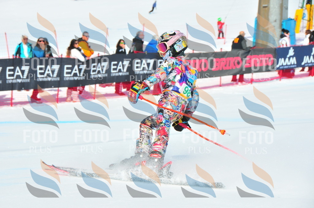 DSC_0680 | holidayphoto