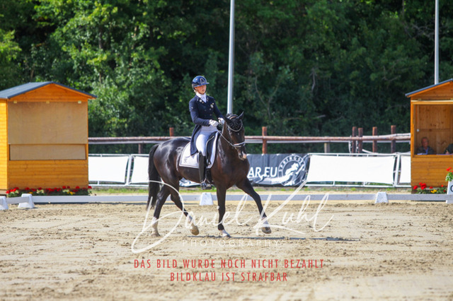 DKP46499 | Turniersportfotografie; Pferdefotografie; Dressurfotografie