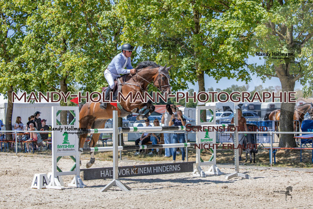 26-7-24 SPF m++-599 | mandyhollmannphotographie