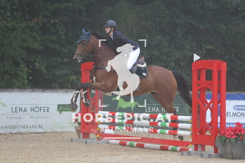 0P6A0321 | Willkommen bei Brunnmayr - Design & Fotografie – Ihrem Spezialisten für Reitturniere und Pferdeveranstaltungen in Oberösterreich, Salzburg und Bayern! Seit über 17 Jahren sind wir leidenschaftlich dabei.