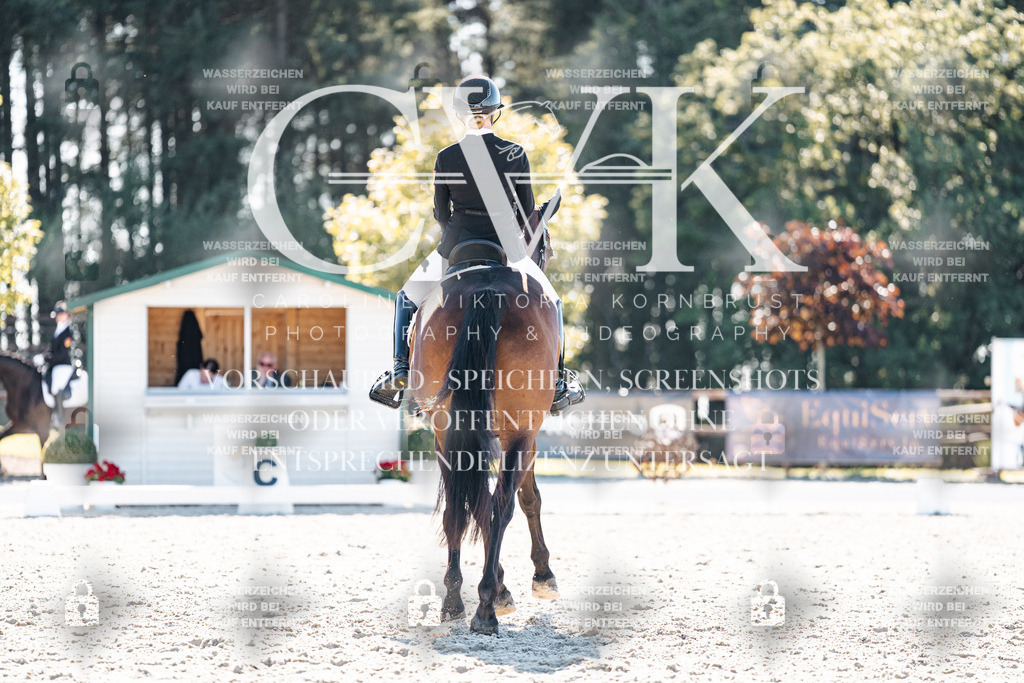 CK905656 | Turnierfotografie Pferdefotografie Trier Rheinland-Pfalz Pferdesport Reitsport Tierfotografie Sportfotografie Pferdevideo Pferdevideografie Equestrianvideography equestrianphotography  - Realisiert mit Pictrs.com