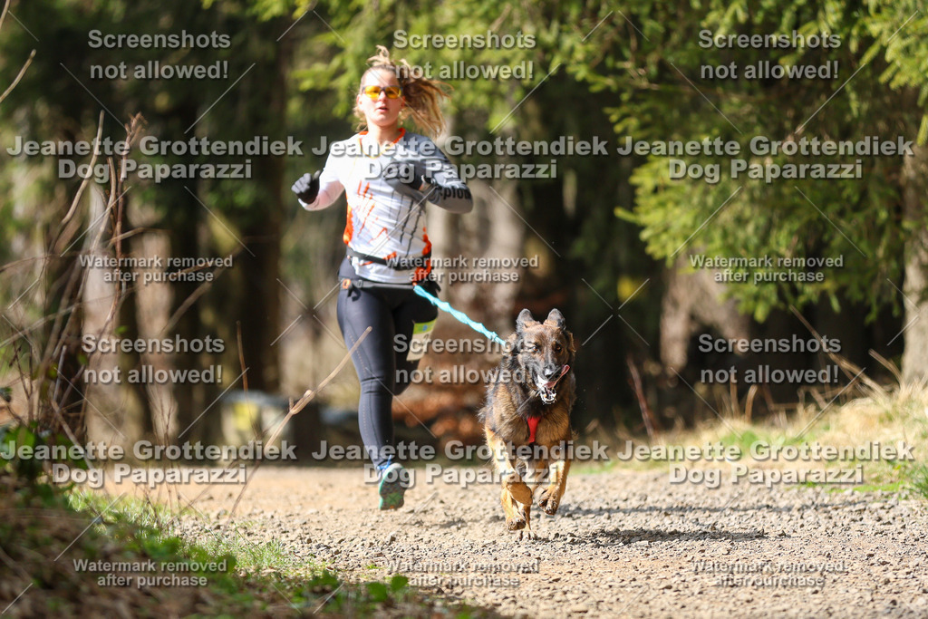 Dog Paparazzi - VCC26-341 | Dog Paparazzi Jeanette Grottendiek Fotografie & Videografie - Realisiert mit Pictrs.com
