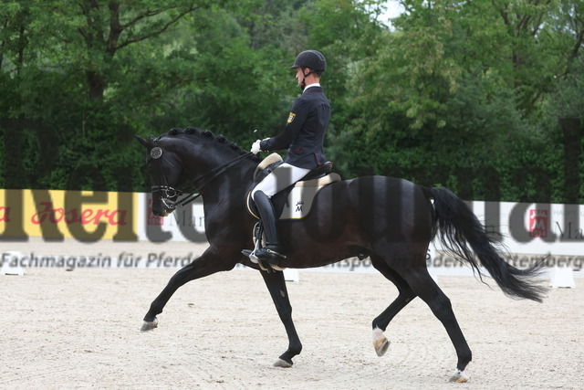 Weilheim_2023_Prfg.Nr.12_Dressur_Kl.M_Lukas Maier_Doubtless 5 (5) | Alle Fotos der Reiterjournal Fotografin Doris Matthaes im Reiterjournal Online-Fotoshop. - Realizado com Pictrs.com