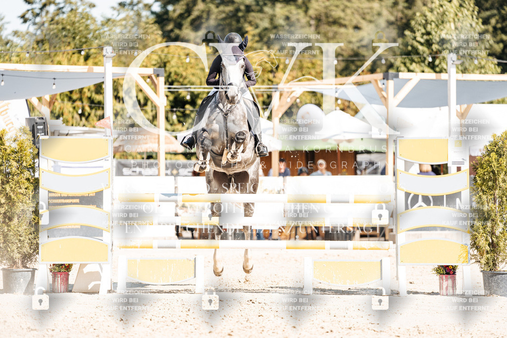 CK902640 | Turnierfotografie Pferdefotografie Trier Rheinland-Pfalz Pferdesport Reitsport Tierfotografie Sportfotografie Pferdevideo Pferdevideografie Equestrianvideography equestrianphotography  - Realisiert mit Pictrs.com