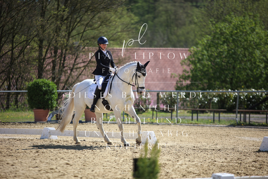 IMGT8091 | pl-fotografie