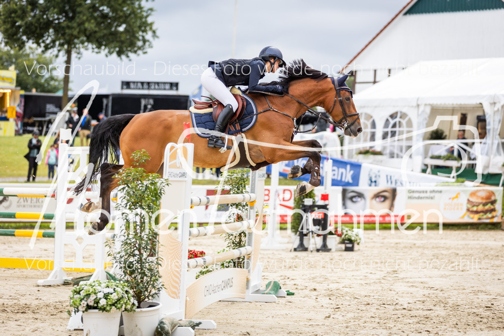 BHO-2PhSpr-M-5-2417 | MomenTaufnahmen Pferdesportfotos