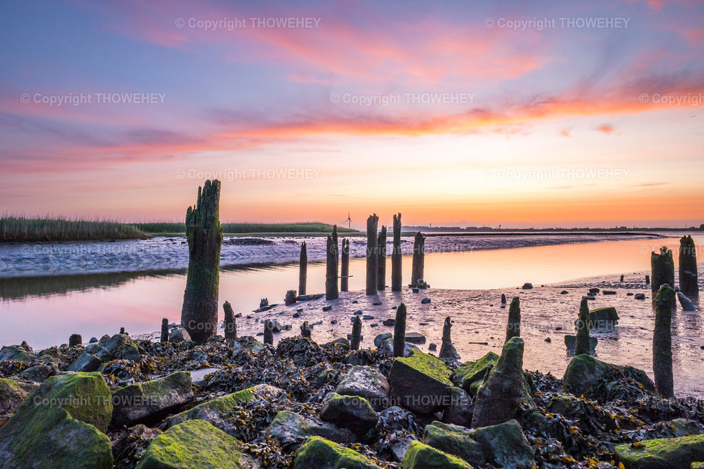 _1133426 | thowehey - Realisiert mit Pictrs.com