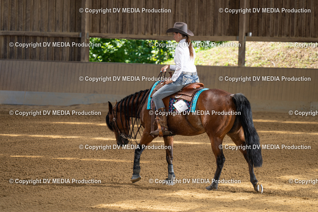 DSC00002-2 | dv-media-shop - Realisiert mit Pictrs.com