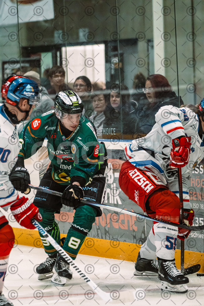 Alligators_vs_Selb_13_09_2026-14 | Die Fotogalerie von Daddel: professionelle Bilder von Sport, Events und Unternehmen aus Franken. Jetzt Galerien durchstöbern und Lieblingsfotos bestellen. - Realisiert mit Pictrs.com