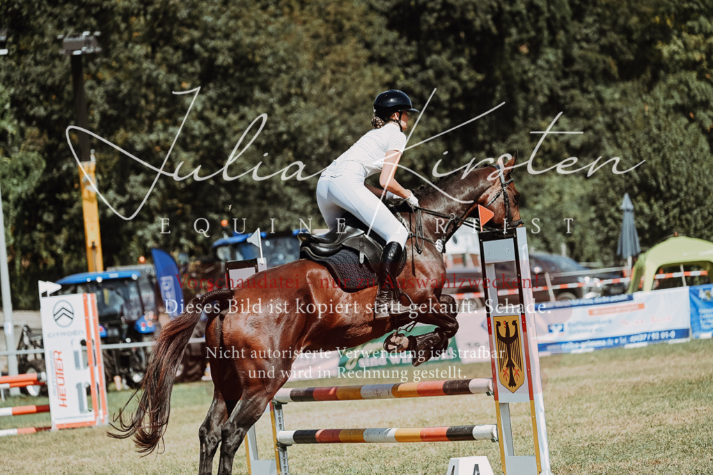 DSC_9993 | Pferde- und Turnierfotografie in Westsachsen. Pferdeportraits, Auftragszeichnungen und intuitive Kunst.