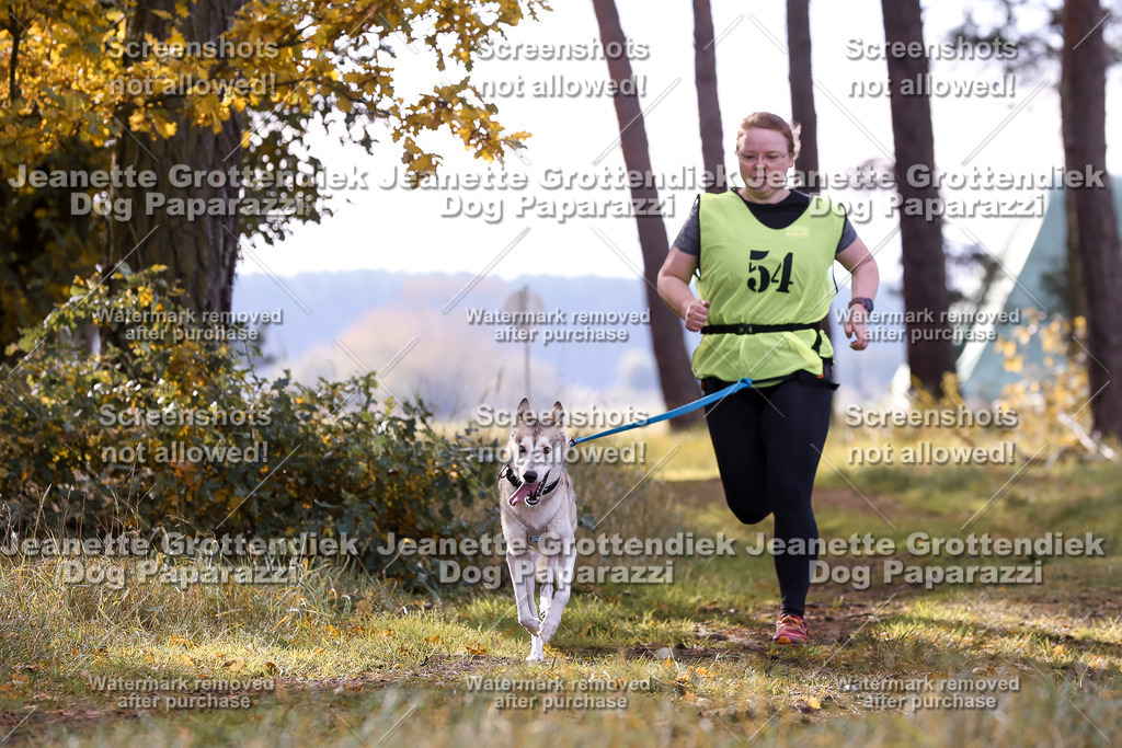 Dog Paparazzi - Elsholz 25 -200 | Dog Paparazzi Jeanette Grottendiek Fotografie & Videografie - Realisiert mit Pictrs.com