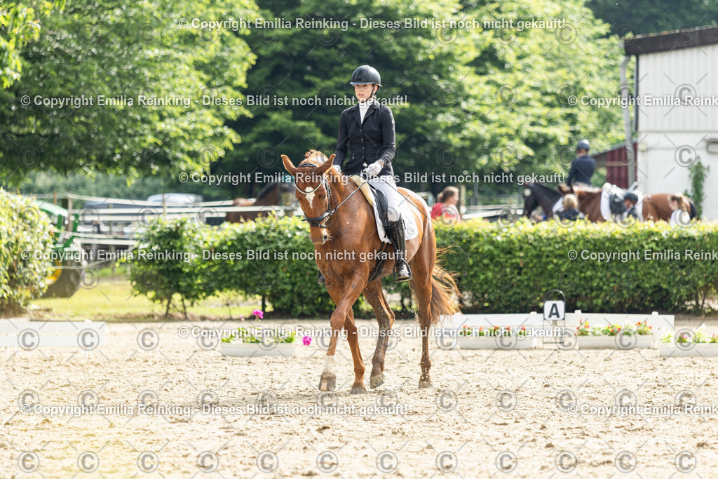 CL5A4505 | Emilia Reinking Fotografie - Realisiert mit Pictrs.com