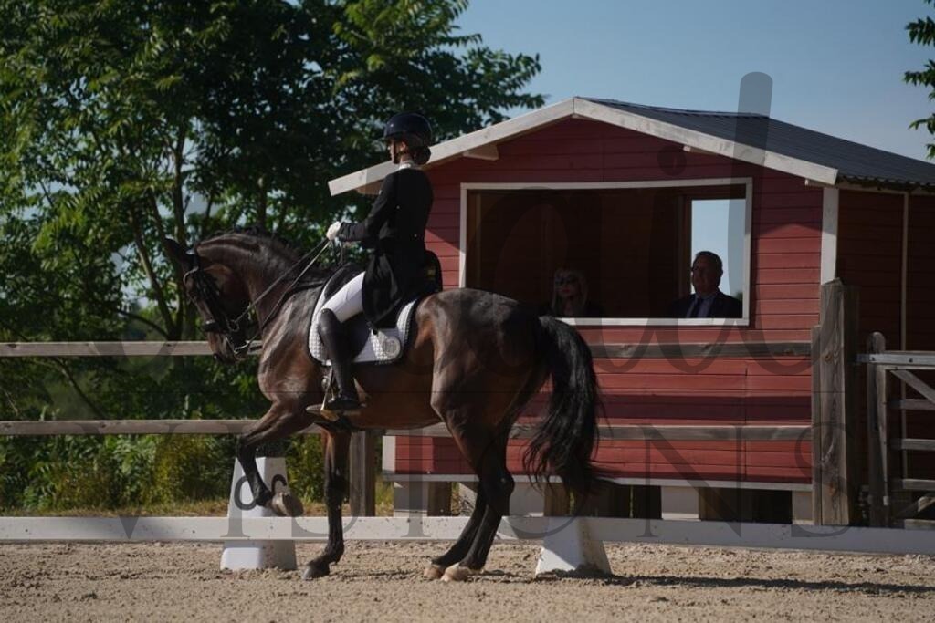 tgbhsonntag (2132) | d.tail Visions - Shop - Realisiert mit Pictrs.com