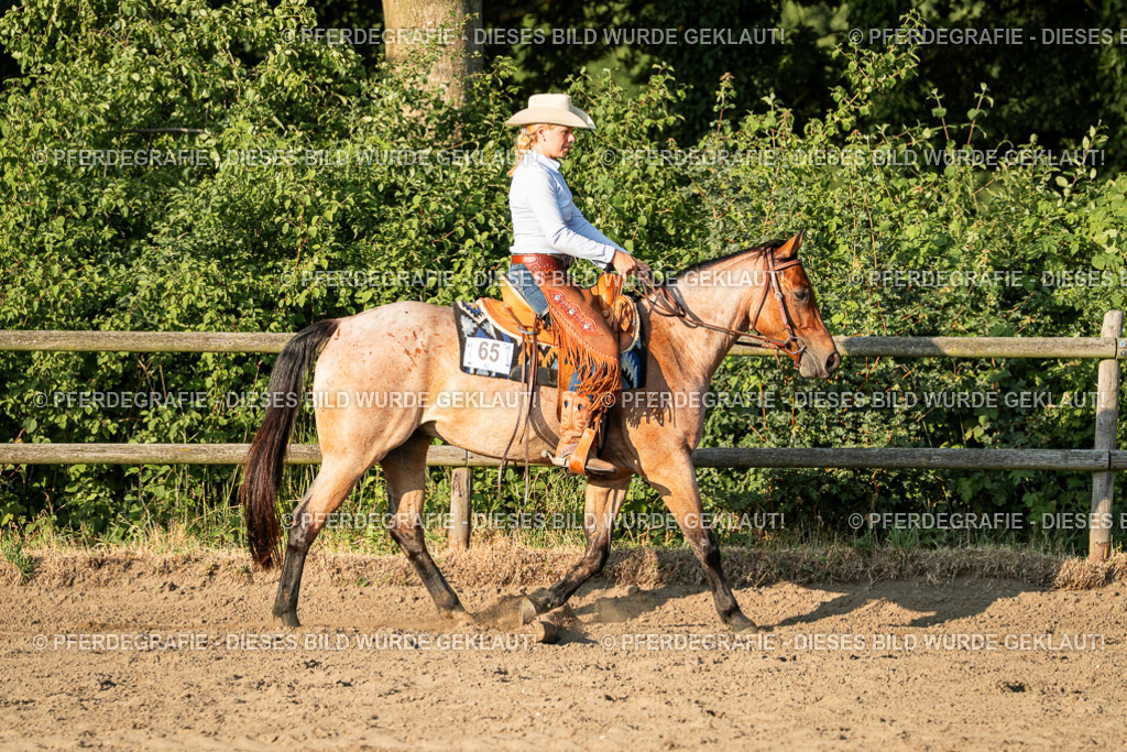 DSC06296 | Pferdegrafie