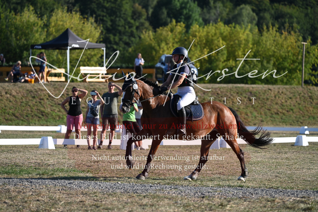 DSC_9094 | Pferde- und Turnierfotografie in Westsachsen. Pferdeportraits, Auftragszeichnungen und intuitive Kunst.