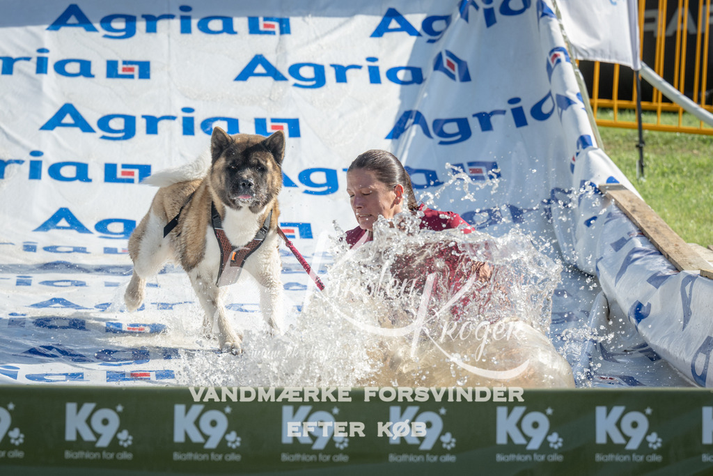 0954_ZZ97377 | kk-dogfotos