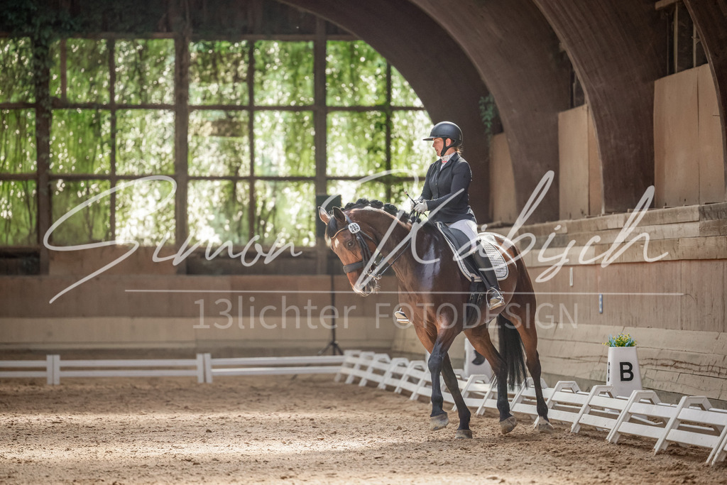 20250621-_3LI0037 | Tierfotografie Pferde, Hunde, Katzen, Haustiere.
Turnierfotografie Reitturniere, Reiten, Springreiten, Dressur in Hanau, dem Main-Kinzig-Kreis und dem Rhein-Main- Gebiet um Frankfurt