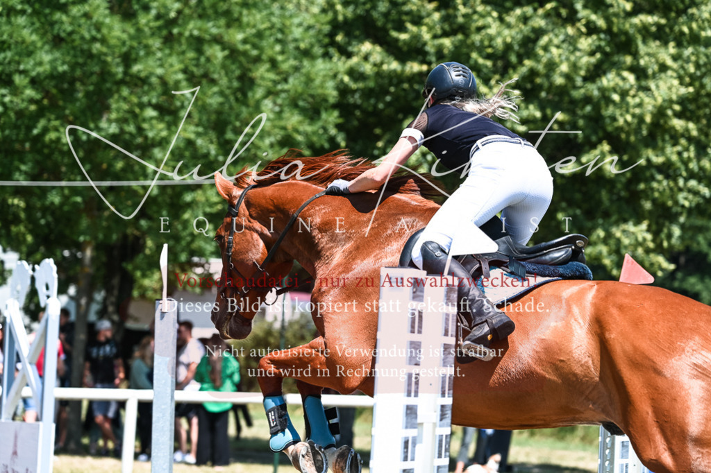 DSC_0476 | Pferde- und Turnierfotografie in Westsachsen. Pferdeportraits, Auftragszeichnungen und intuitive Kunst.