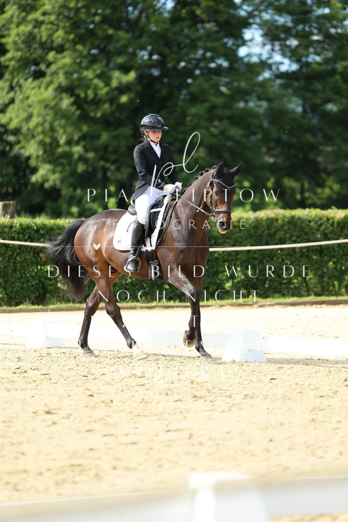 IMGM3758 | pl-fotografie