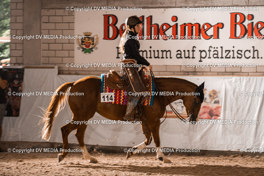 ZH300243 | dv-media-shop - Realisiert mit Pictrs.com