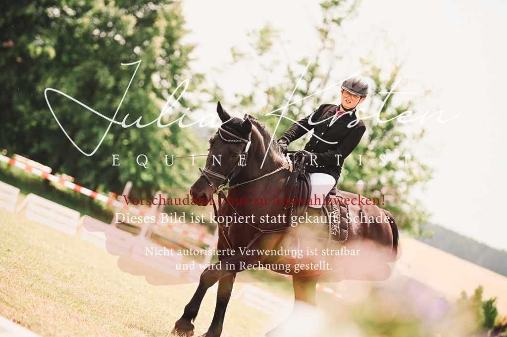 DSC_6208 | Pferde- und Turnierfotografie in Westsachsen. Pferdeportraits, Auftragszeichnungen und intuitive Kunst.