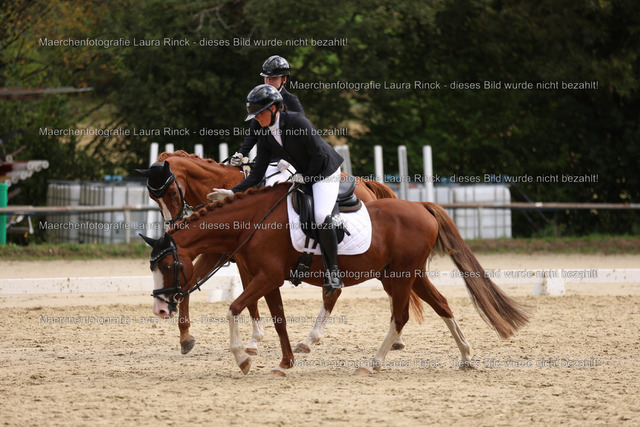 HG9A1771 | laurarinckfotografie - Realisiert mit Pictrs.com