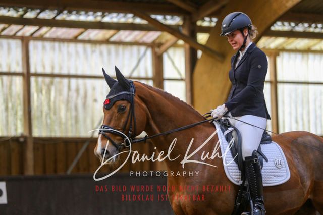 IMG_0310 | Turniersportfotografie; Pferdefotografie; Dressurfotografie