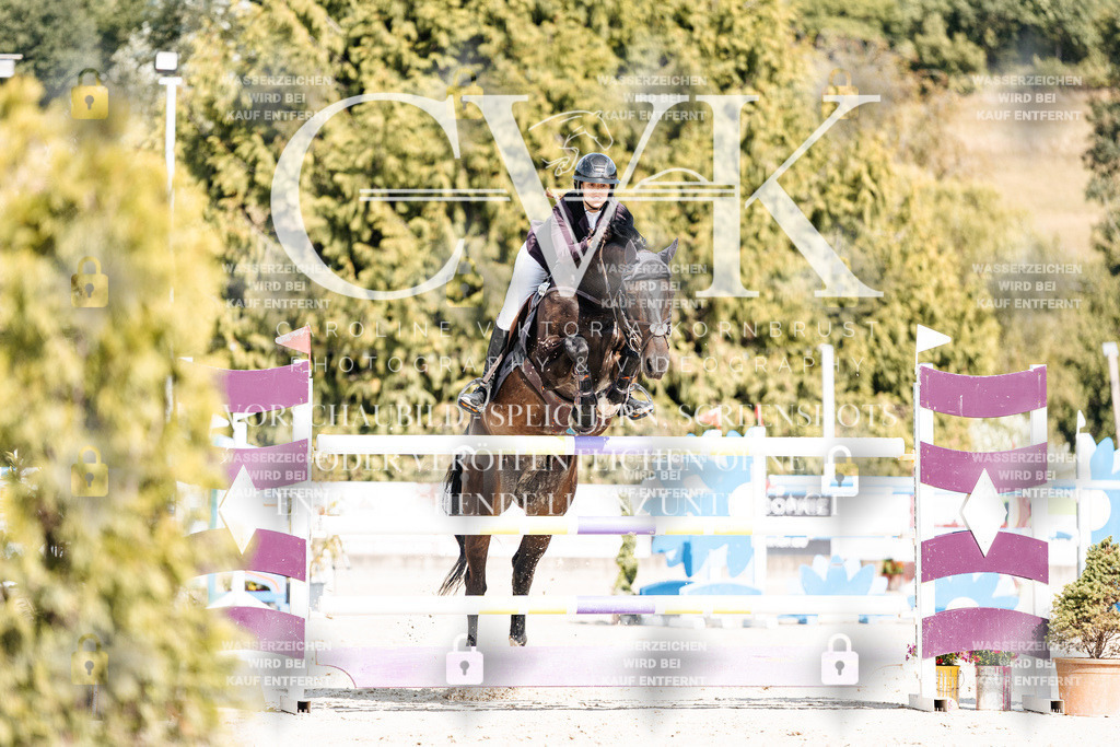 CK908892 | Turnierfotografie Pferdefotografie Trier Rheinland-Pfalz Pferdesport Reitsport Tierfotografie Sportfotografie Pferdevideo Pferdevideografie Equestrianvideography equestrianphotography  - Realisiert mit Pictrs.com