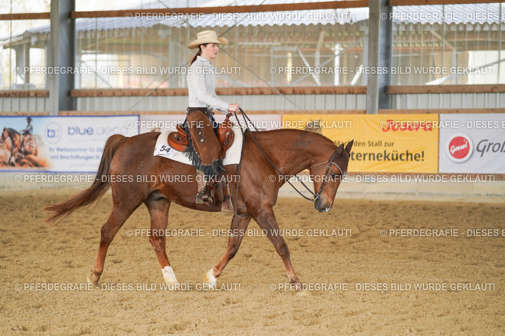 DSC01331 | Pferdegrafie