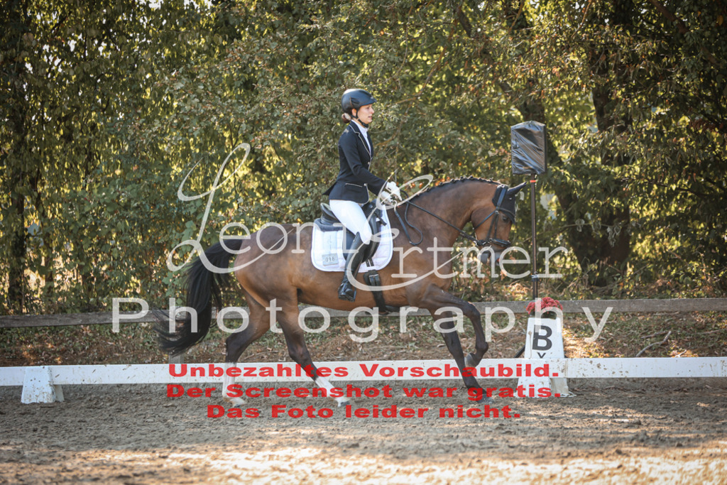 02.SaDrA00329 | Leoni Ertmer Photography - Realisiert mit Pictrs.com