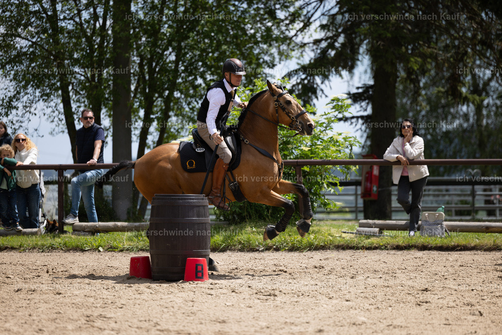 Masterclass_stoibphotography_C2_C8715.CR3 | working equitationturnier fotograf videograf stoibphotography marixx film working equitation deutschland reitsport turnierfotografie eventfotografie equestrian events