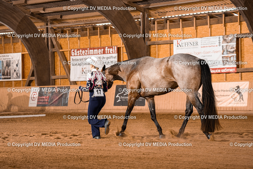 NE100057 | dv-media-shop - Realisiert mit Pictrs.com