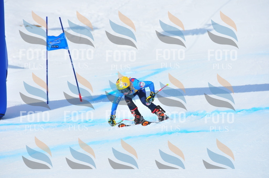 DSC_6977 | holidayphoto